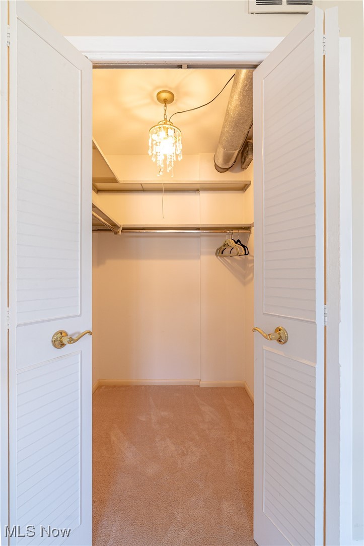 2089 Wooster Road, Unit C42 Rocky River, OH 44116 - Photo 16 of 43 Spacious walk-in closet