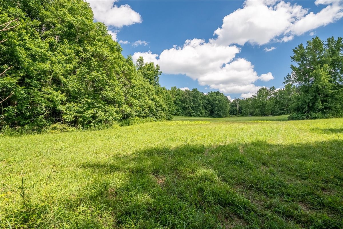 1630 Johnson Branch Road Pulaski, TN 38478 - Photo 9 of 43