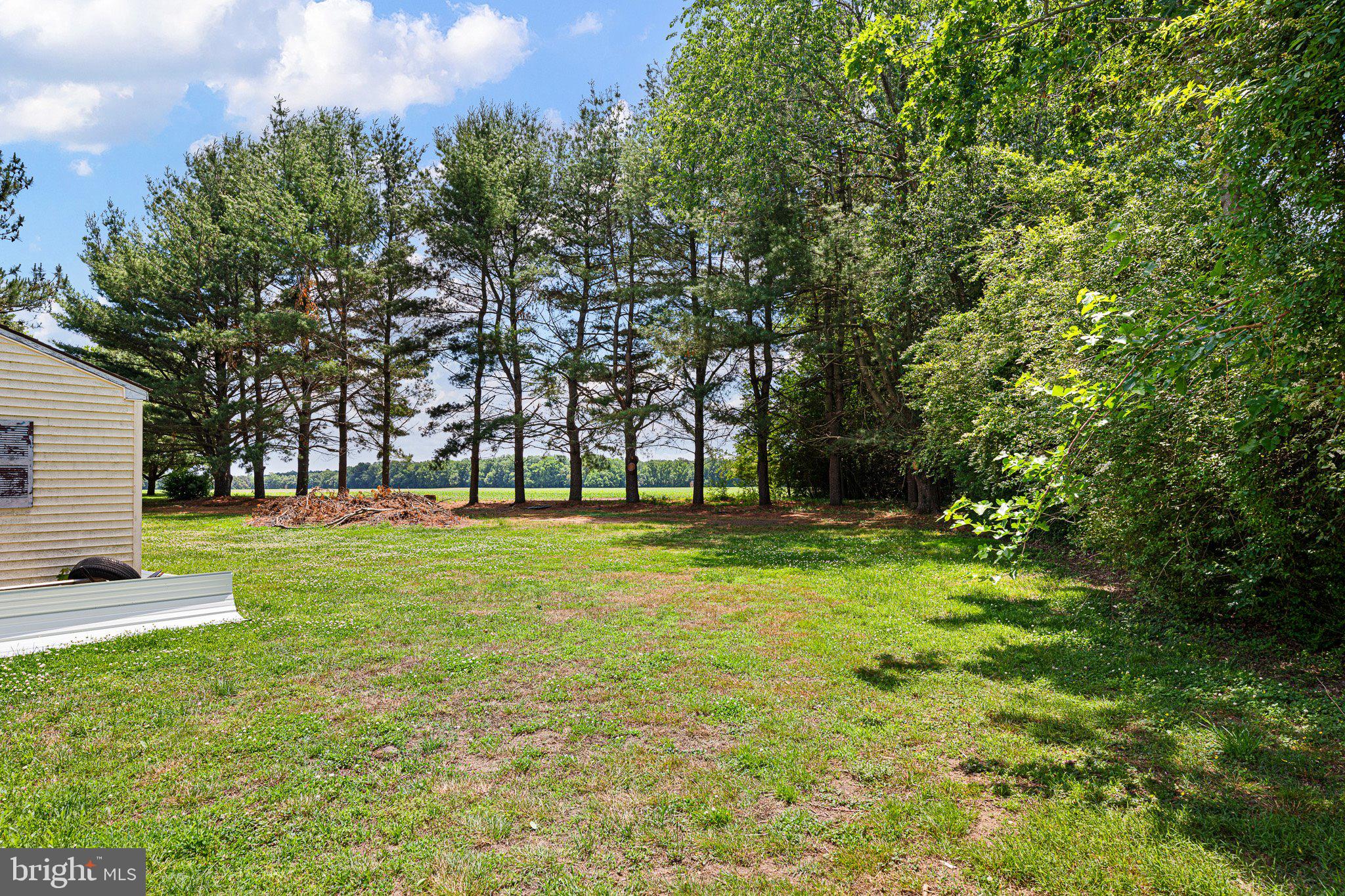 3302 Barratts Chapel Road Frederica, DE 19946 - Photo 5 of 19 a view of backyard with green space