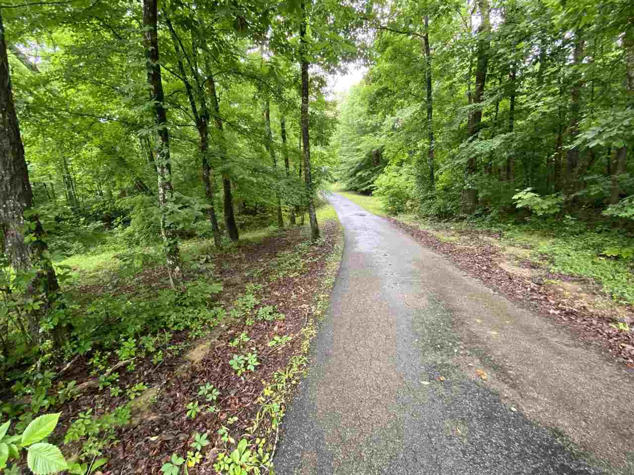 195 Holly Springs Road Henderson, TN 38340 - Photo 23 of 24 Photo 23