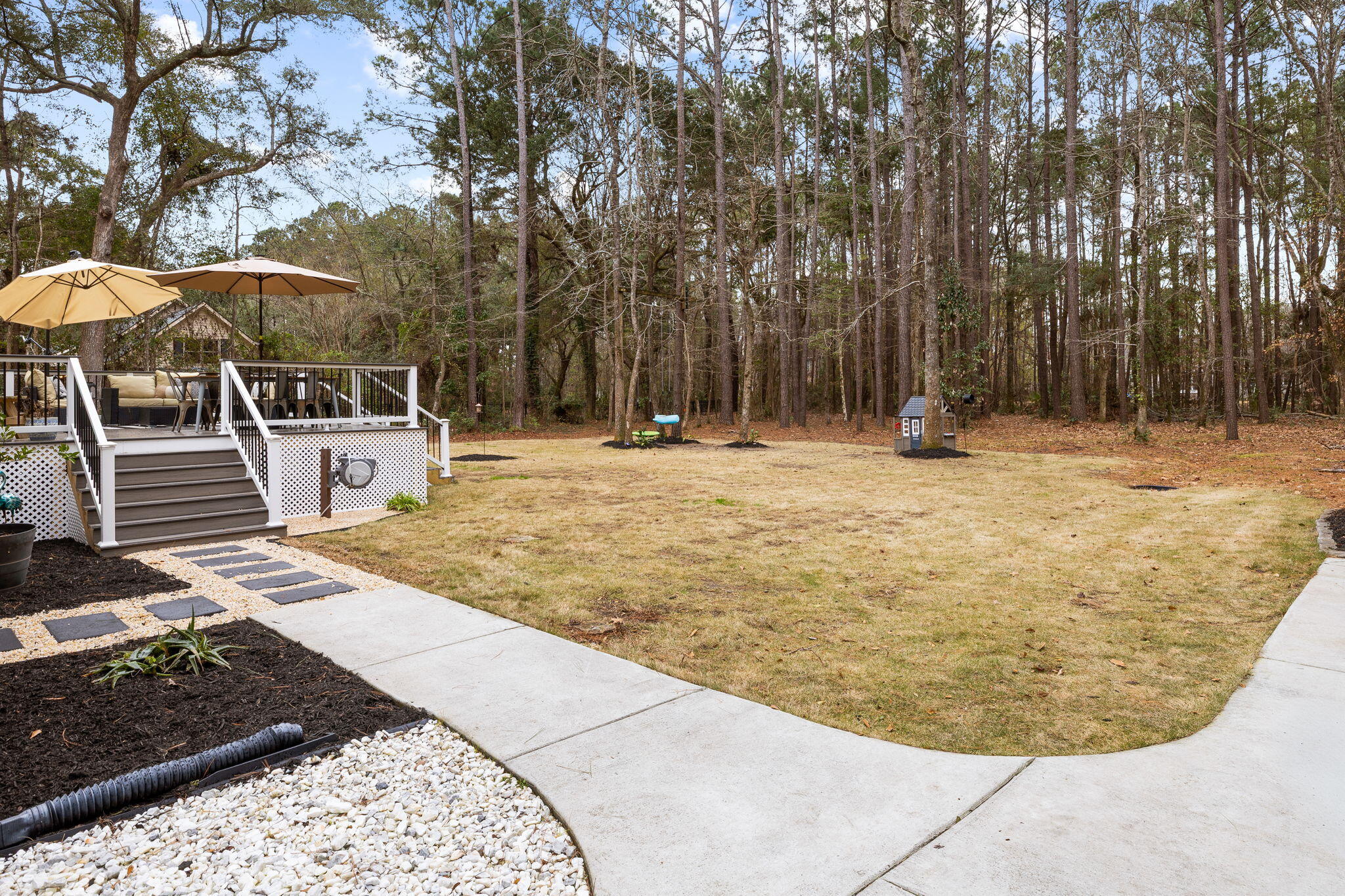 204 Ferry Point Drive Charleston, SC 29492 - Photo 12 of 23 Backyard