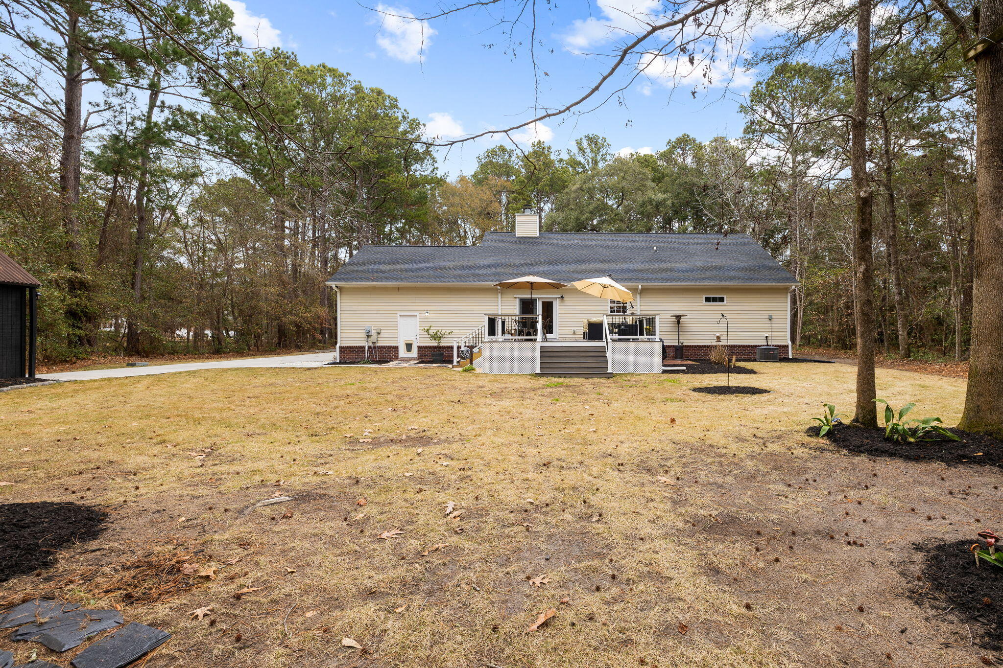 204 Ferry Point Drive Charleston, SC 29492 - Photo 16 of 23 Backyard