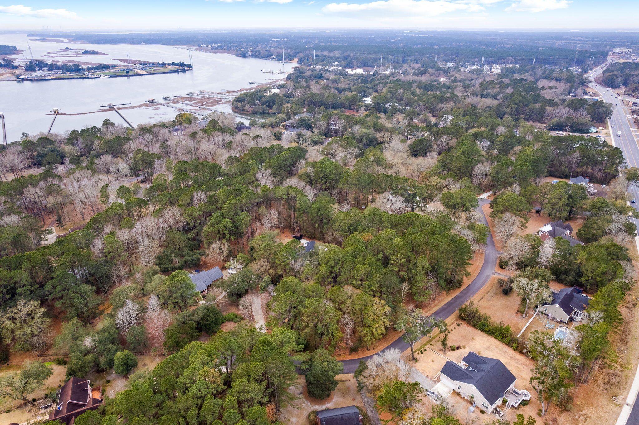204 Ferry Point Drive Charleston, SC 29492 - Photo 21 of 23 Aerial View