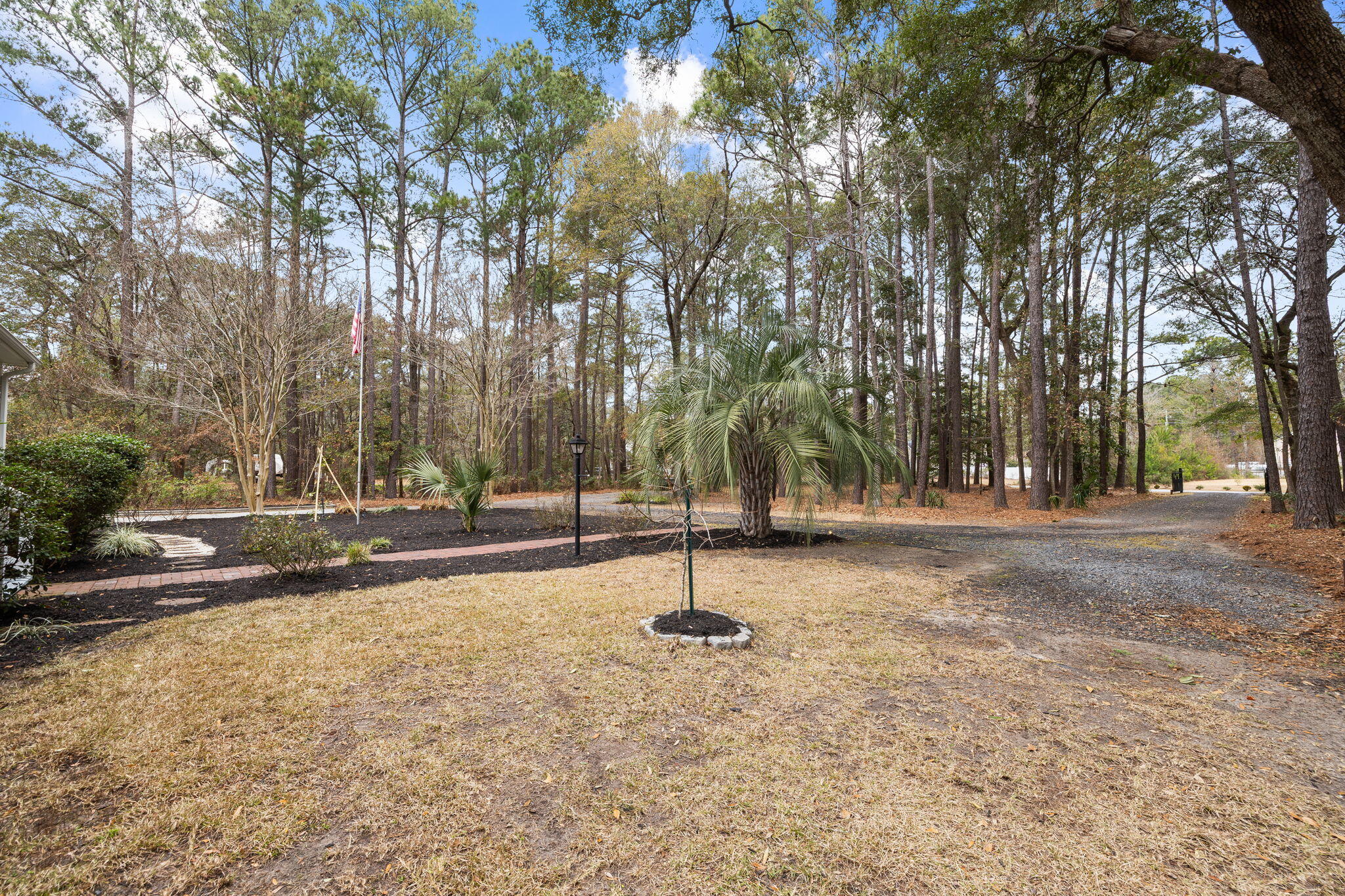 204 Ferry Point Drive Charleston, SC 29492 - Photo 5 of 36 Front Yard