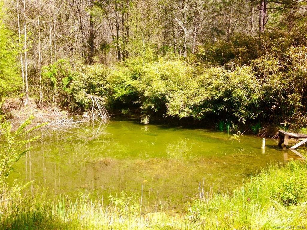 130 Tanasee Gap Road Balsam Grove, NC 28708 - Photo 3 of 14 Gallery Image 3