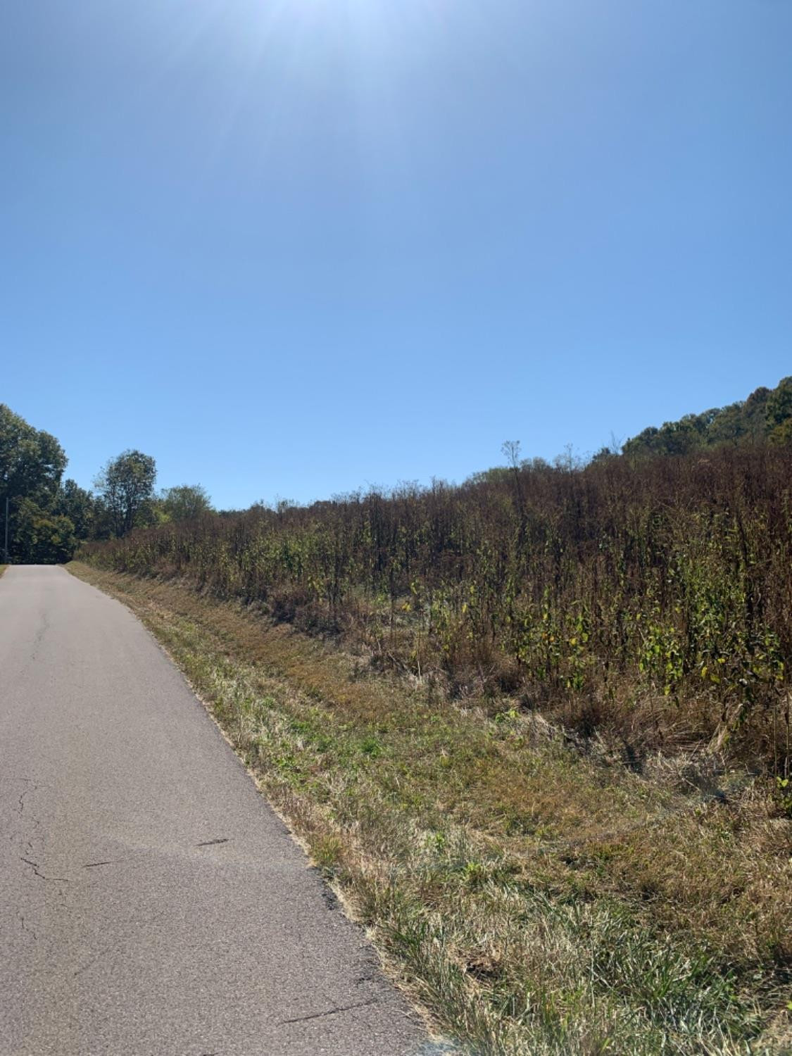 2 River Valley Road Frankfort, KY 40601 - Photo 1 of 6 Listing Photo