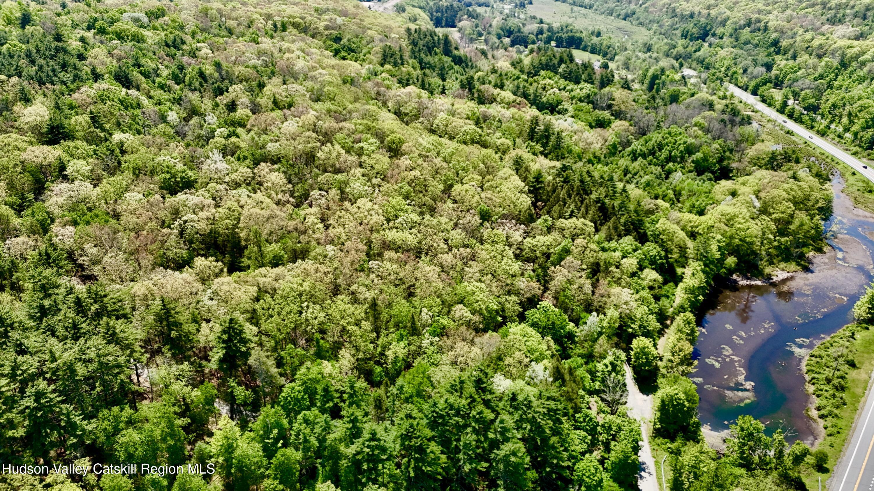 0 Depot Road Wurtsboro, NY 12790 - Photo 9 of 10 1779209948141