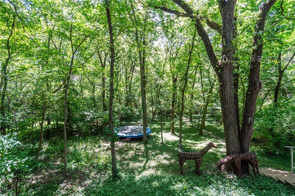 Raintree Place Lawrence, KS 66044 - Photo 57 of 64