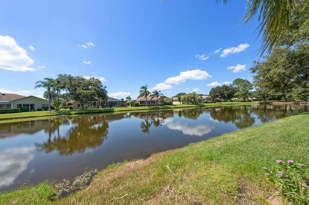1237 Rambling Vine Court New Port Richey, FL 34655 - Photo 54 of 61 Gallery Image 54
