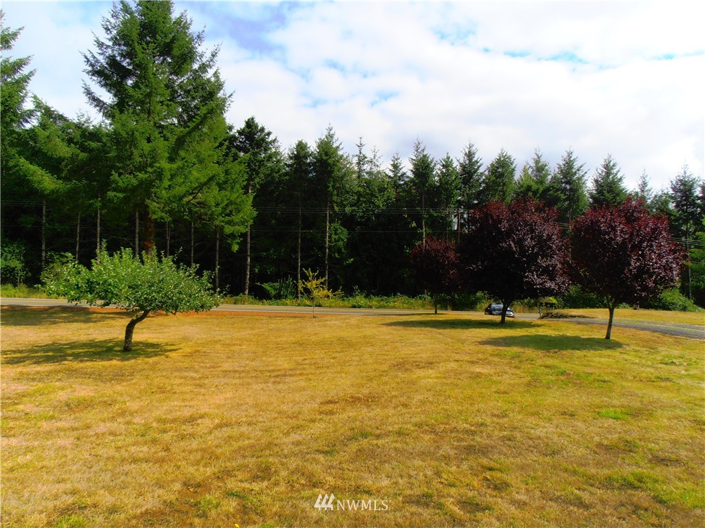298 Hewitt Road Chehalis, WA 98532 - Photo 14 of 17