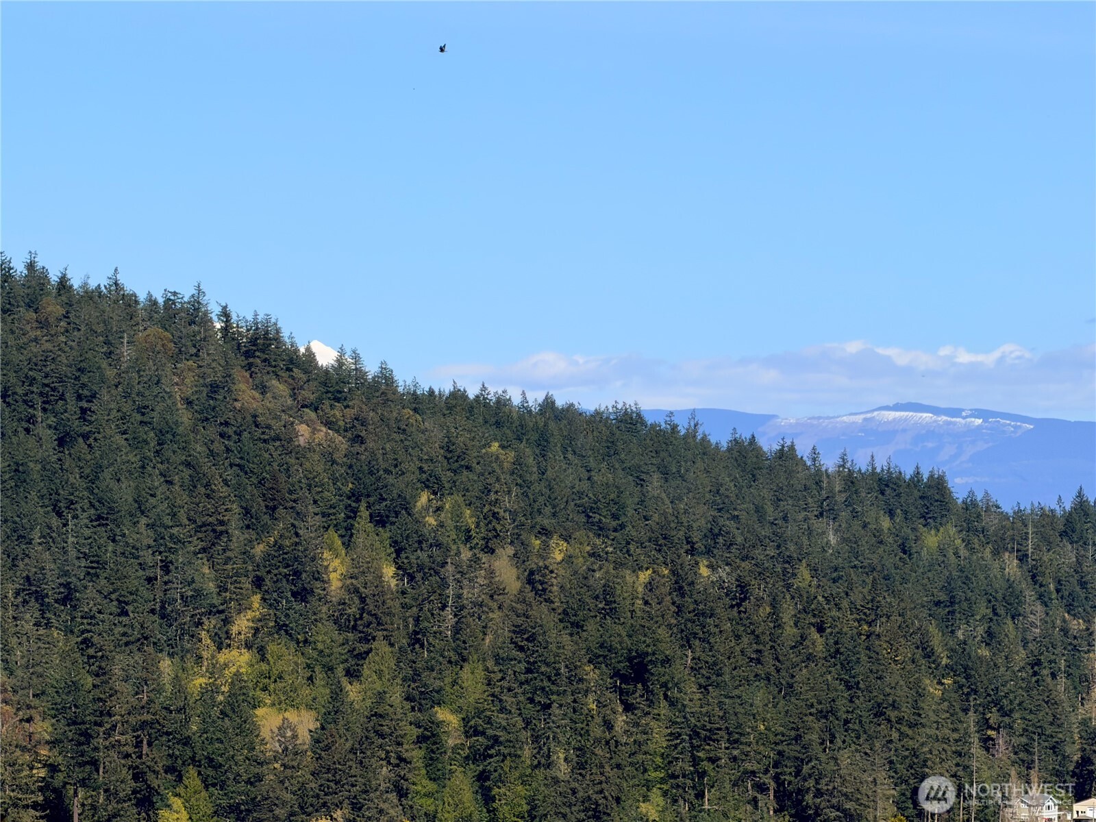 13998 Donnell Road Anacortes, WA 98221 - Photo 30 of 38