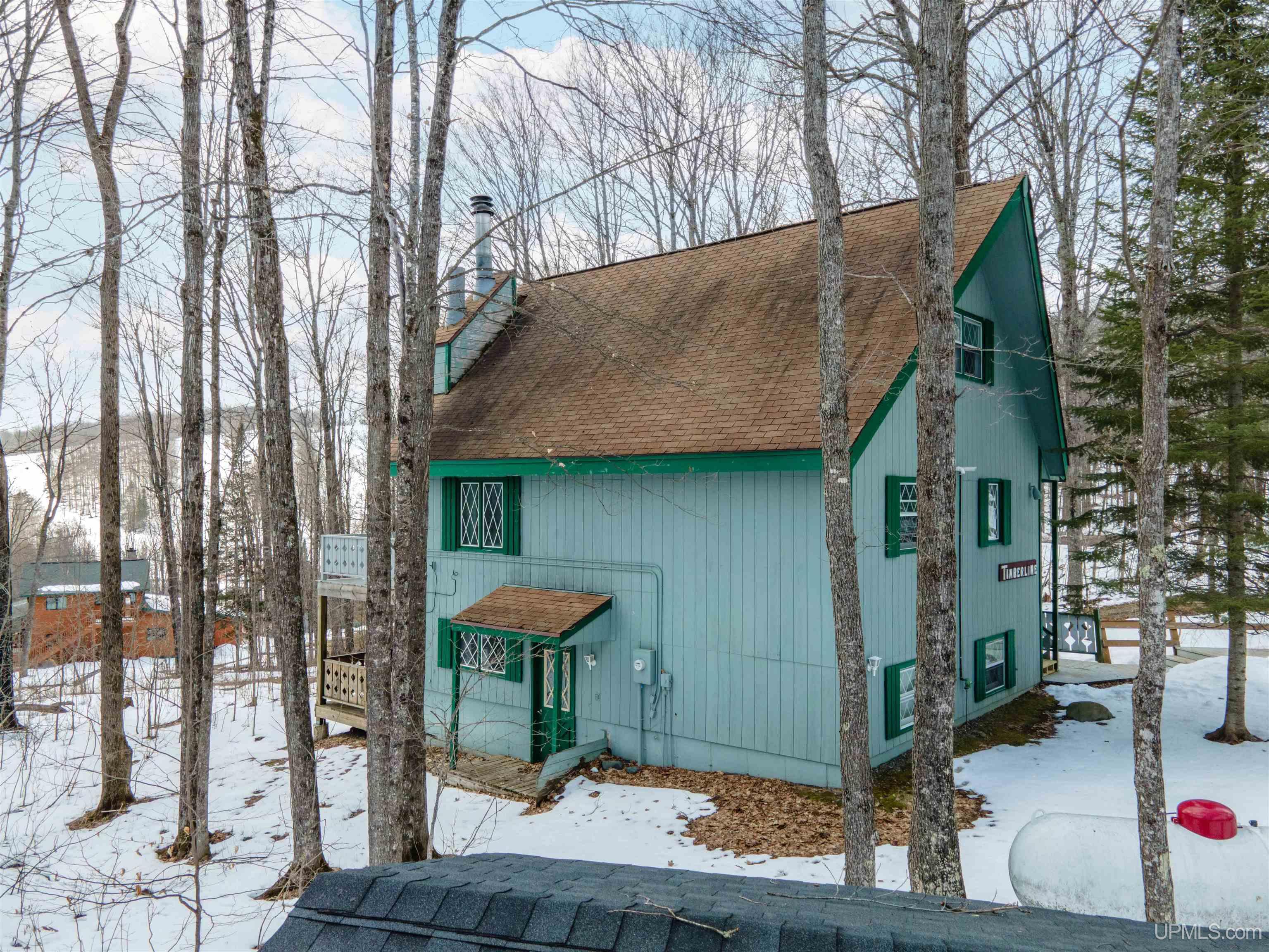 111 Little Deer Road Iron River, MI 49935 - Photo 37 of 39