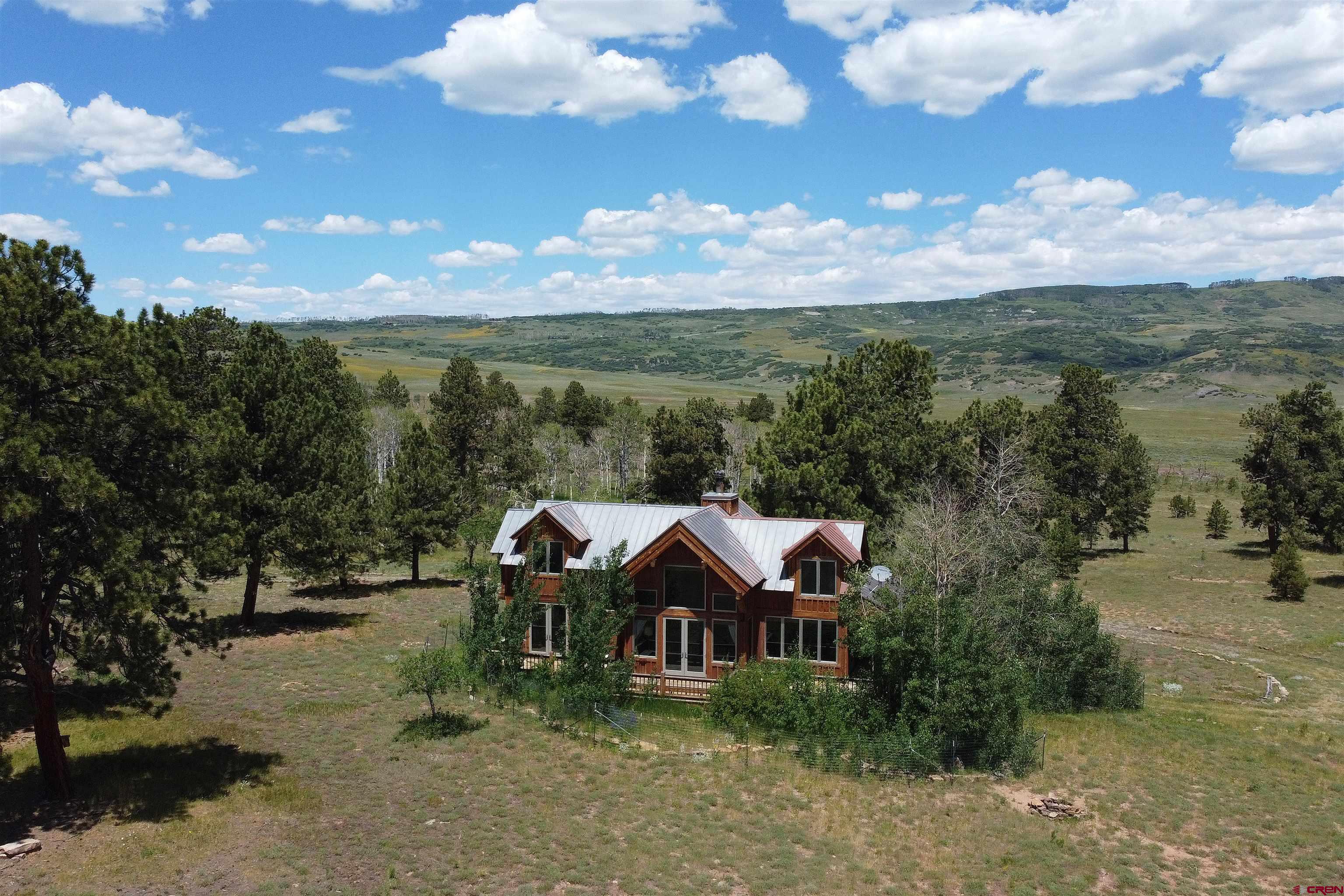 2425 62x Road Placerville, CO 81430 - Photo 2 of 30 a view of a town with large trees
