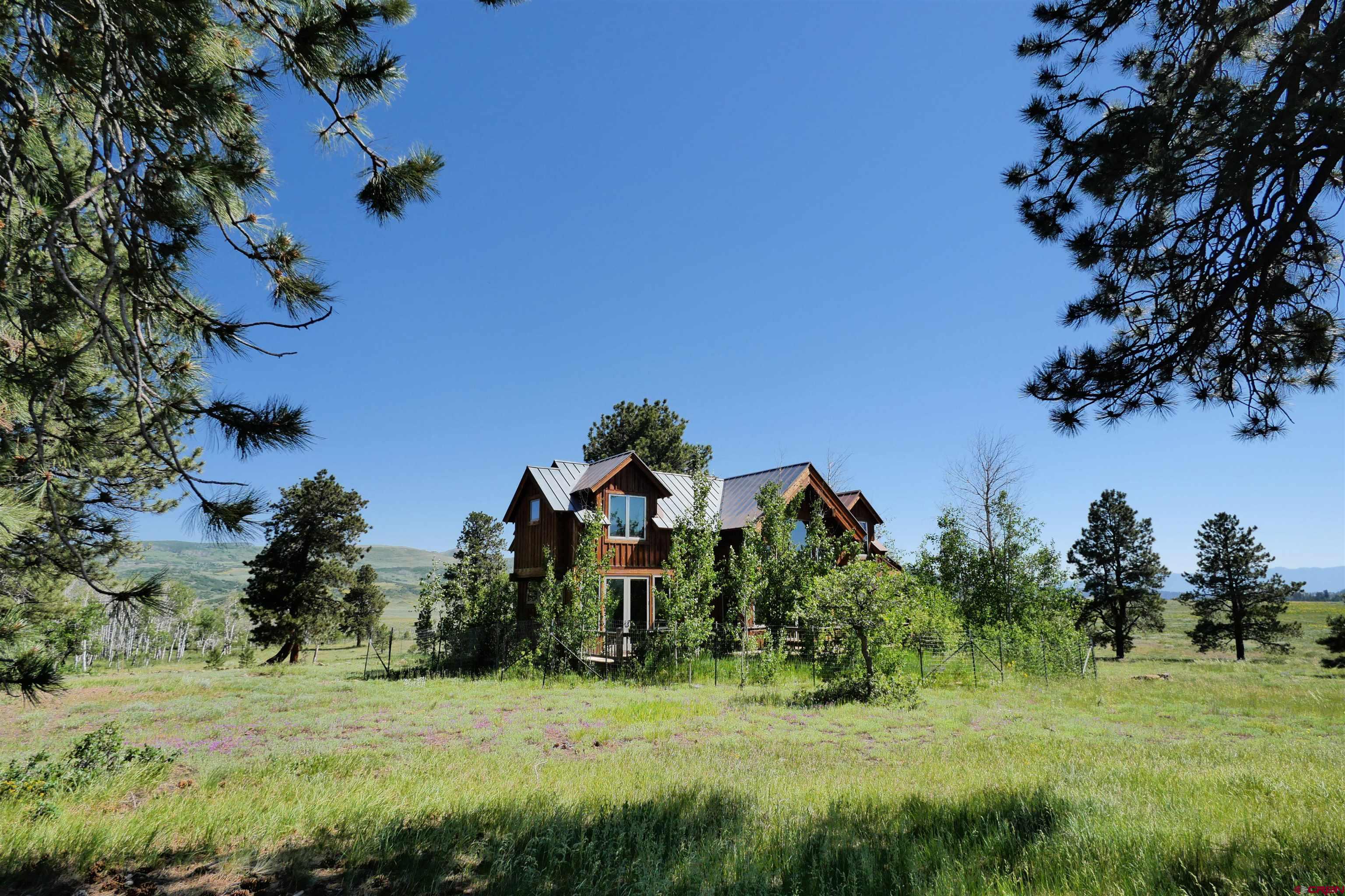 2425 62x Road Placerville, CO 81430 - Photo 5 of 30 a front view of a house with a yard