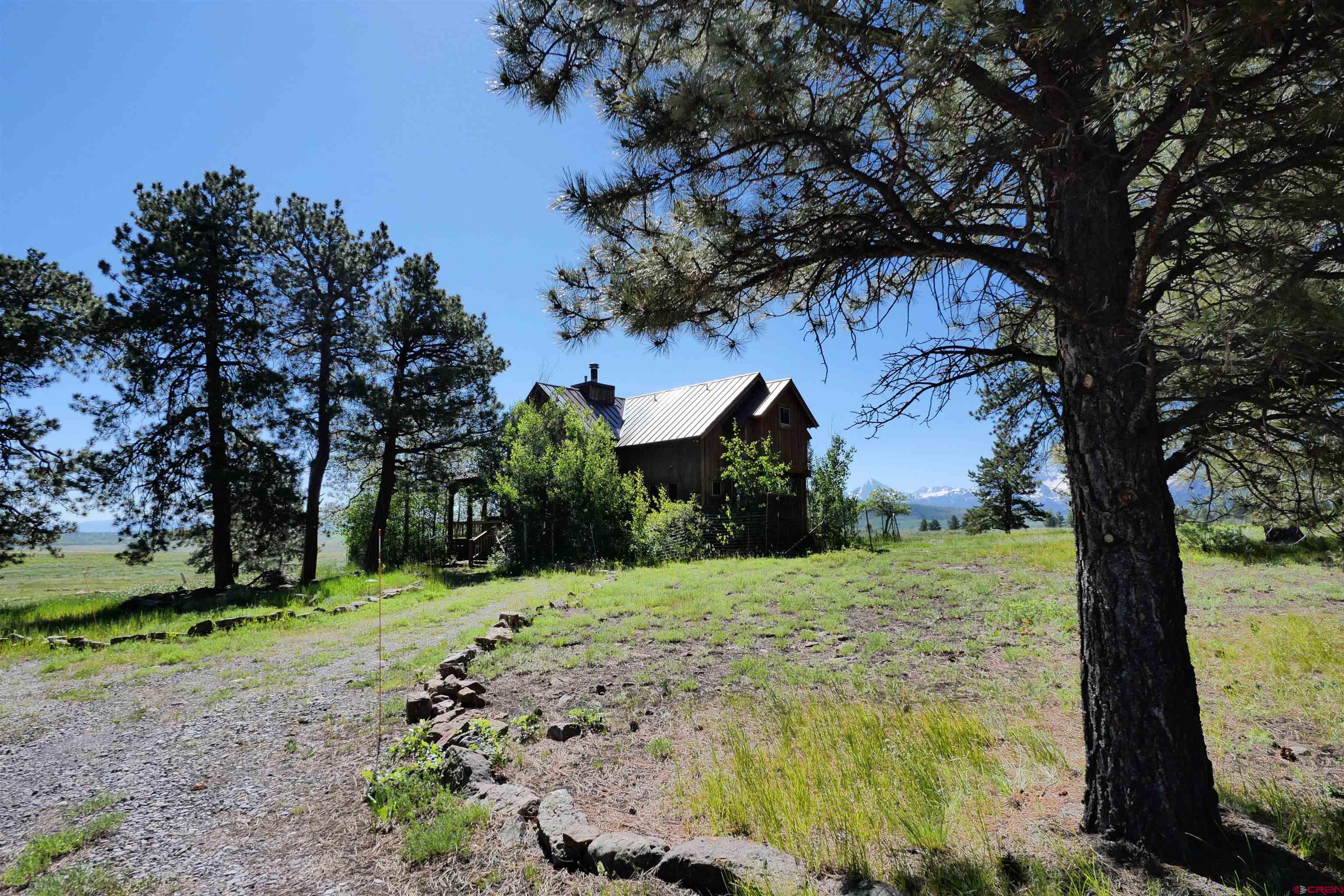 2425 62x Road Placerville, CO 81430 - Photo 7 of 30 a street view with large trees