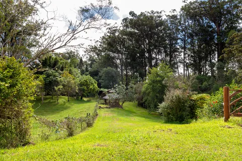 a view of yard with swimming pool