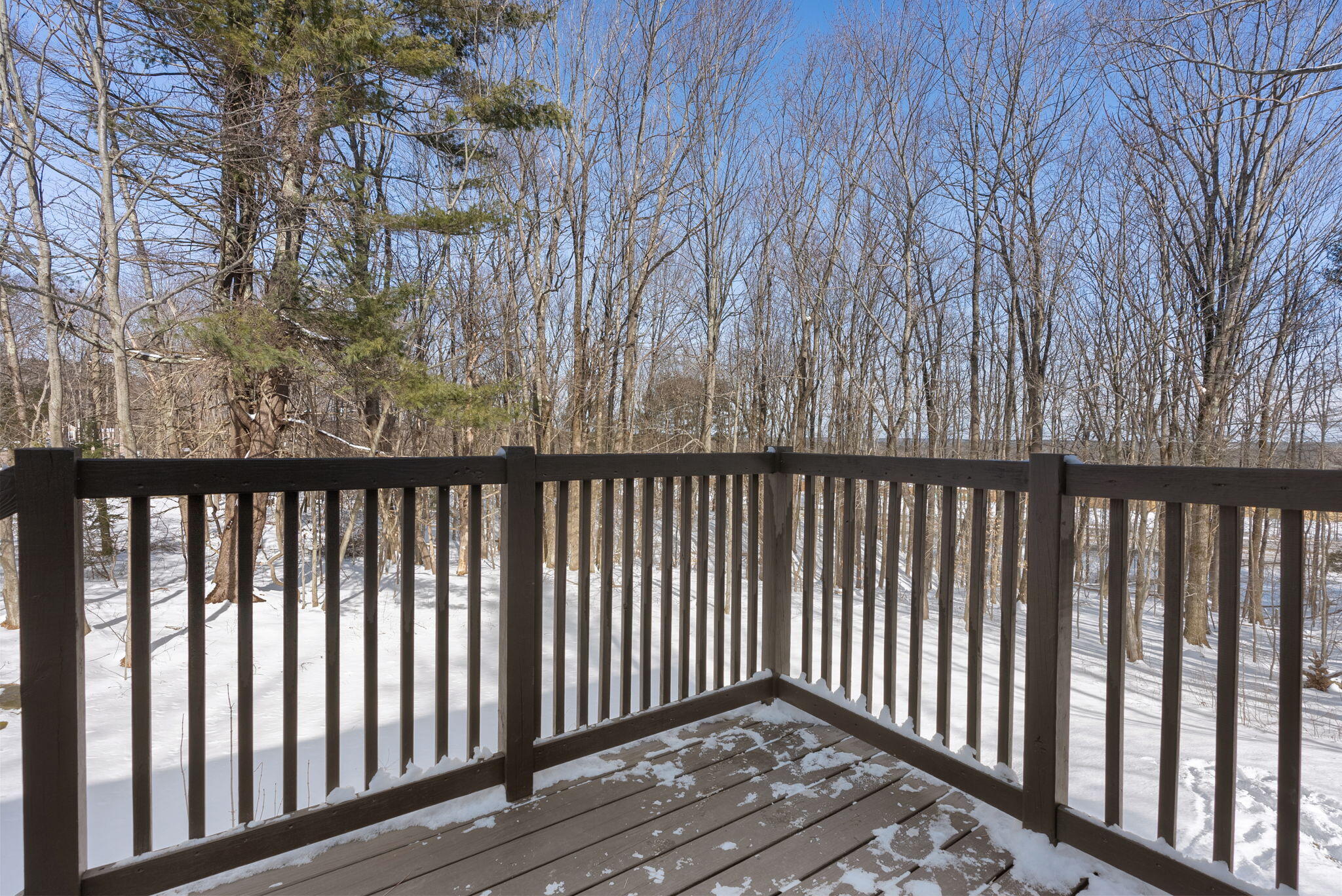 24 Brook Road Falmouth, ME 04105 - Photo 7 of 34 8-web-or-mls-DSC07574