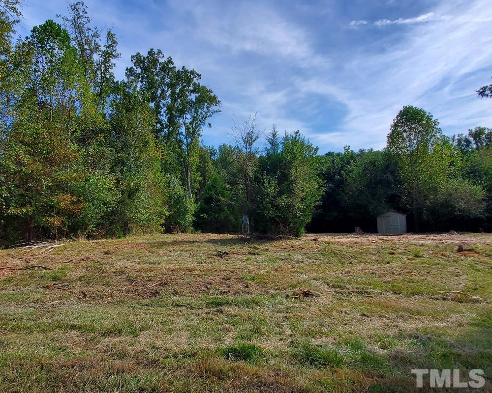 2849 Super Sport Lane Raleigh, NC 27603 - Photo 2 of 3 a big yard with lots of green space