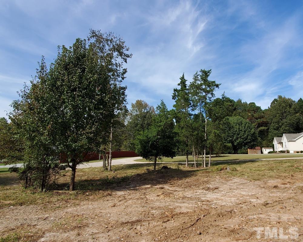 2849 Super Sport Lane Raleigh, NC 27603 - Photo 3 of 3 a view of park with tree