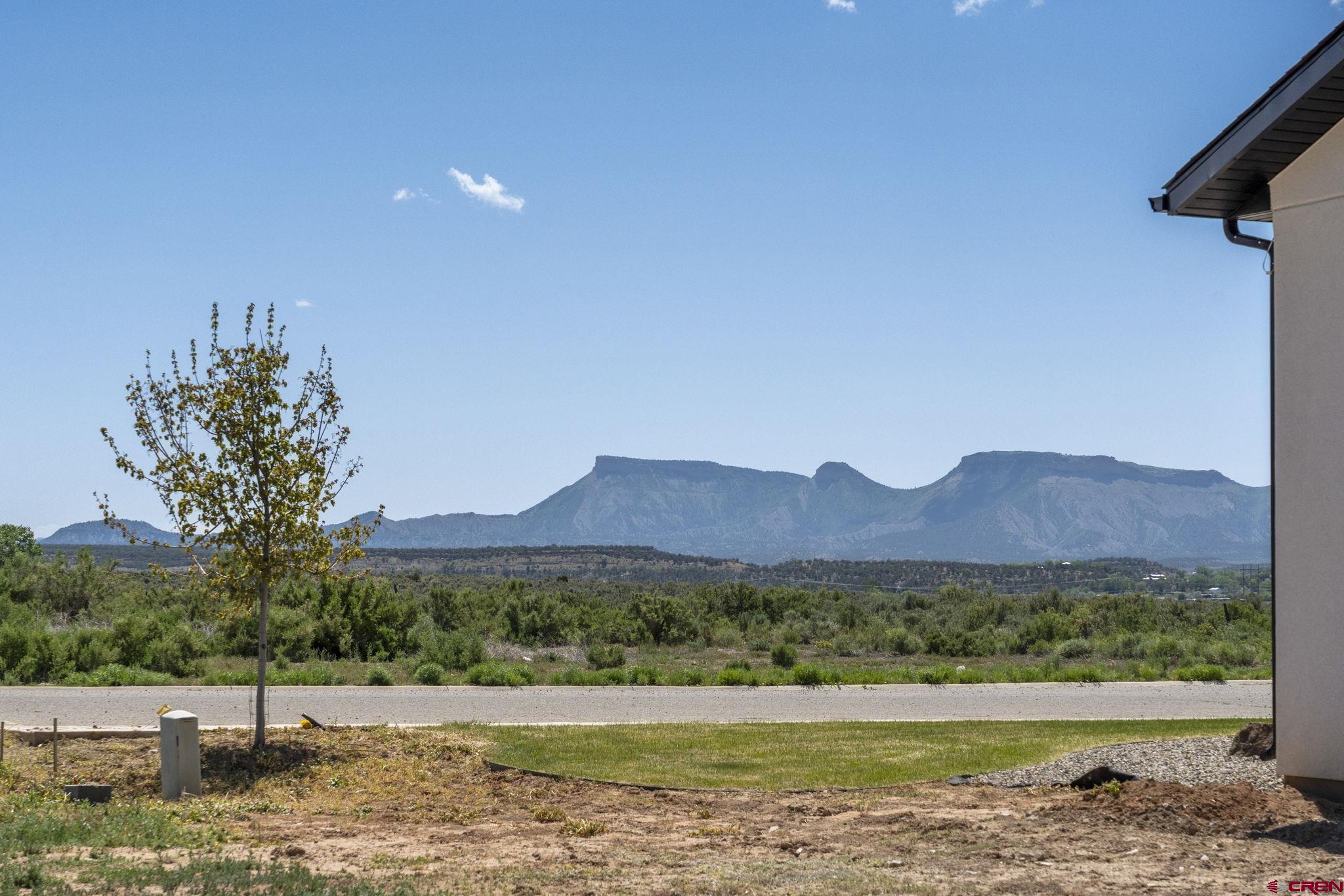 1517 Golf Course Lane Cortez, CO 81321 - Photo 38 of 41 a view of a house with a yard and a large tree