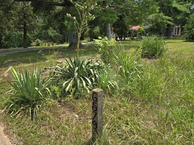 $525,000 | 6579 Vervilla Road, Morrison, TN 37357