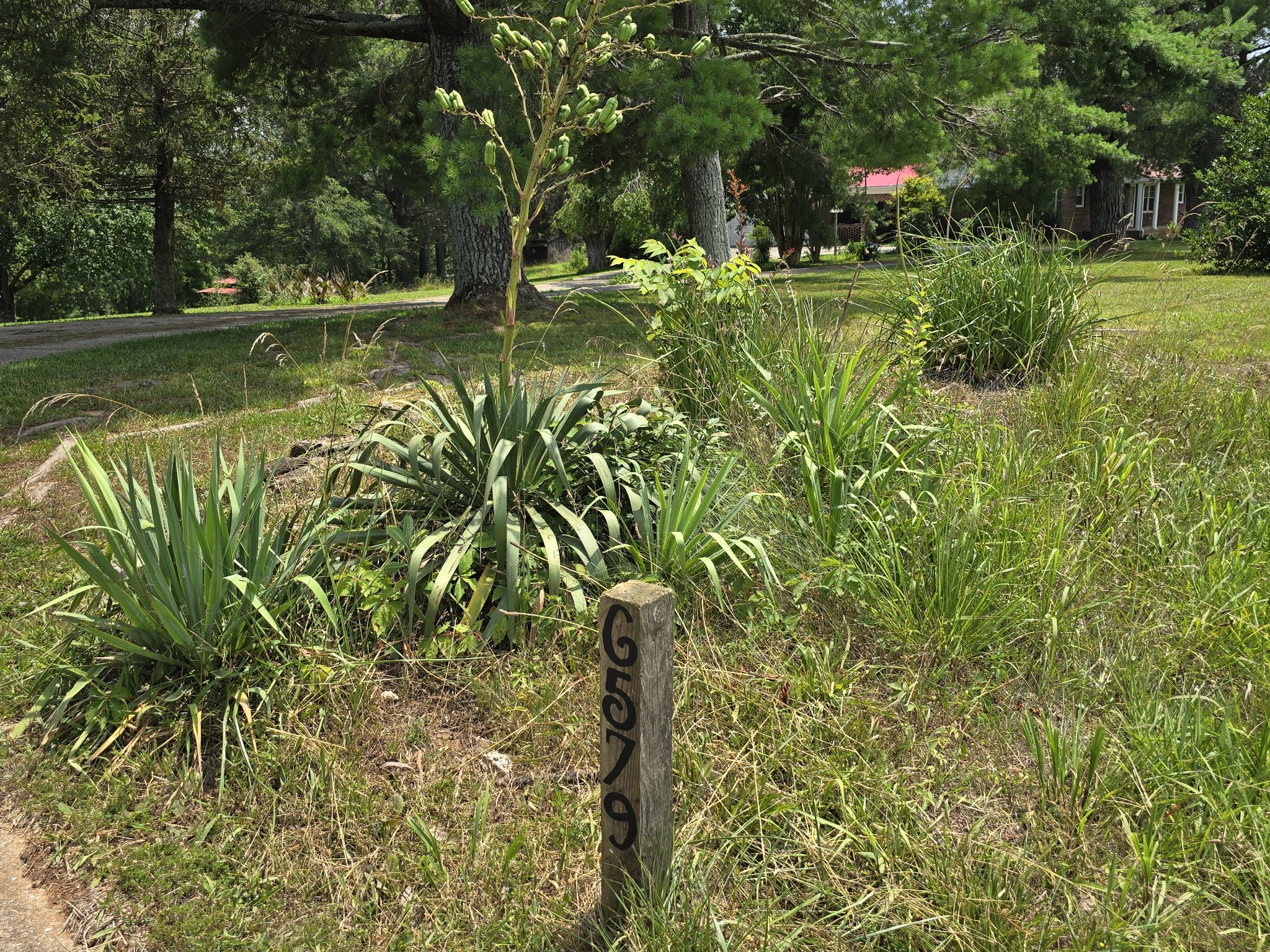 6579 Vervilla Road Morrison, TN 37357 - Photo 51 of 72