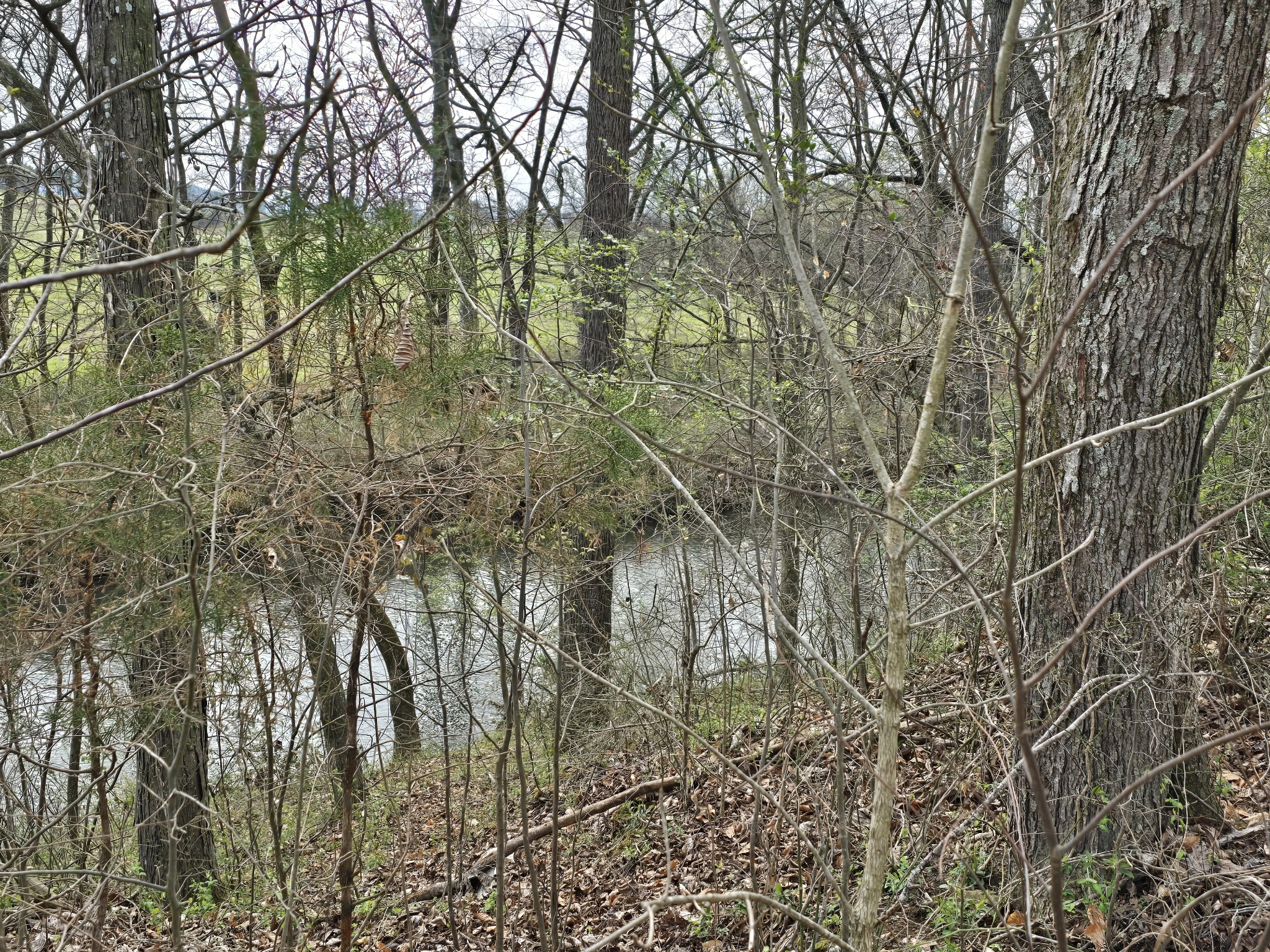 6579 Vervilla Road Morrison, TN 37357 - Photo 82 of 87