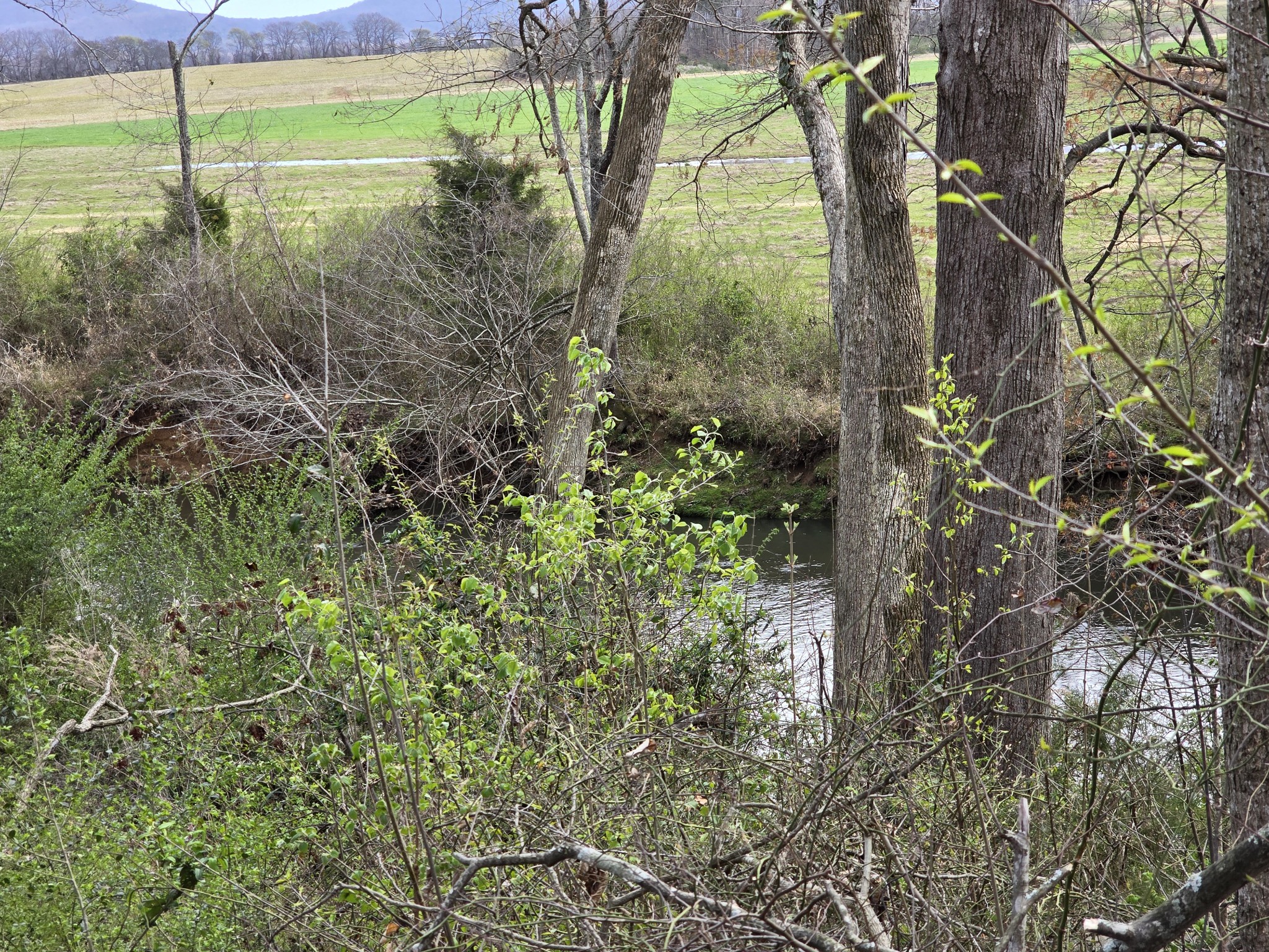 6579 Vervilla Road Morrison, TN 37357 - Photo 85 of 87
