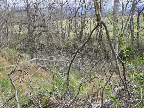 $500,000 | 6579 Vervilla Road, Morrison, TN 37357