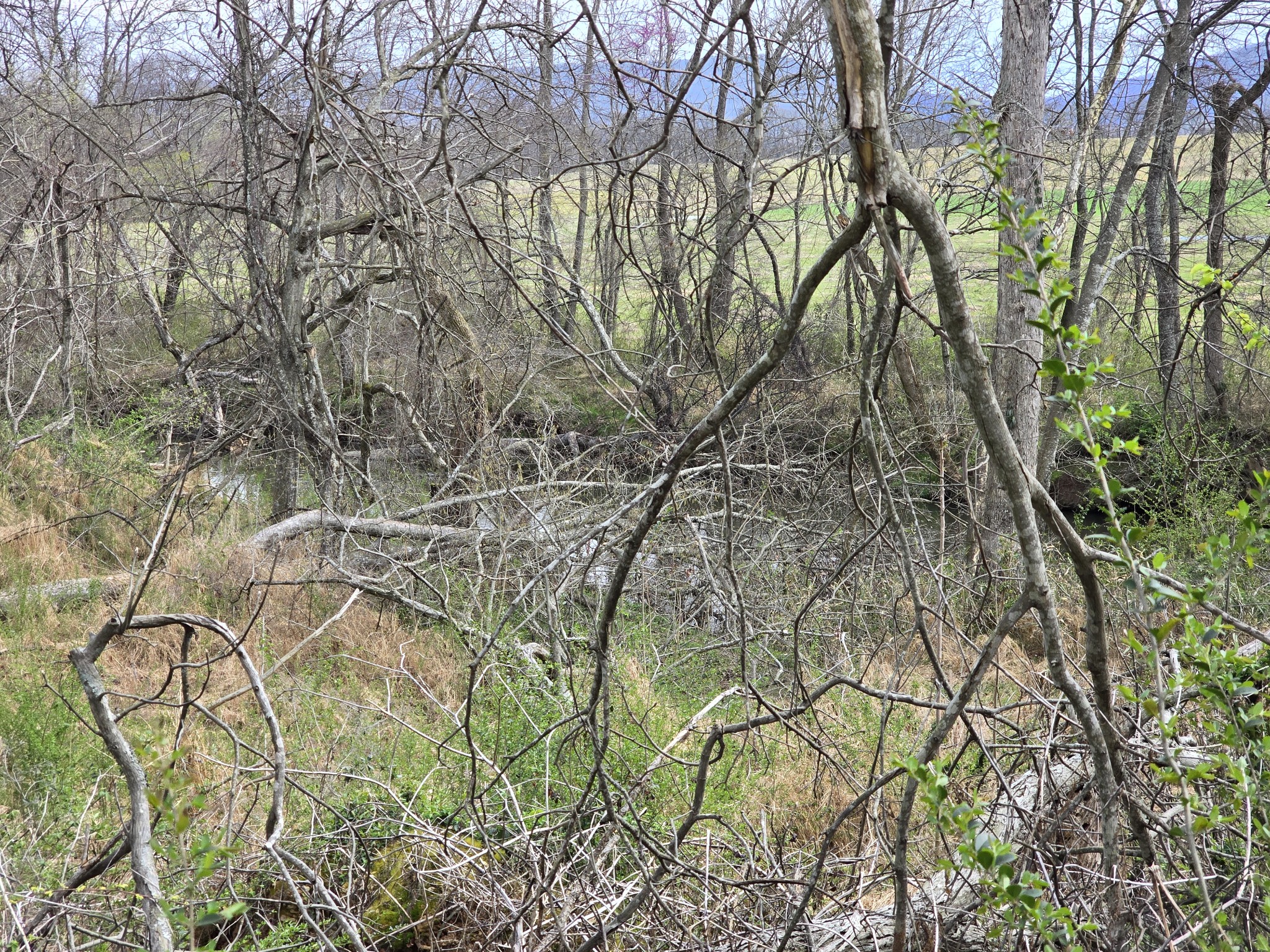 6579 Vervilla Road Morrison, TN 37357 - Photo 86 of 87