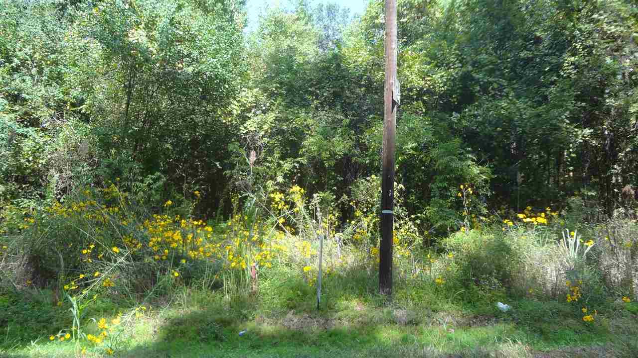 Sd-2 Palmer Road Livingston, LA 70754 - Photo 6 of 6 Gallery Image 6