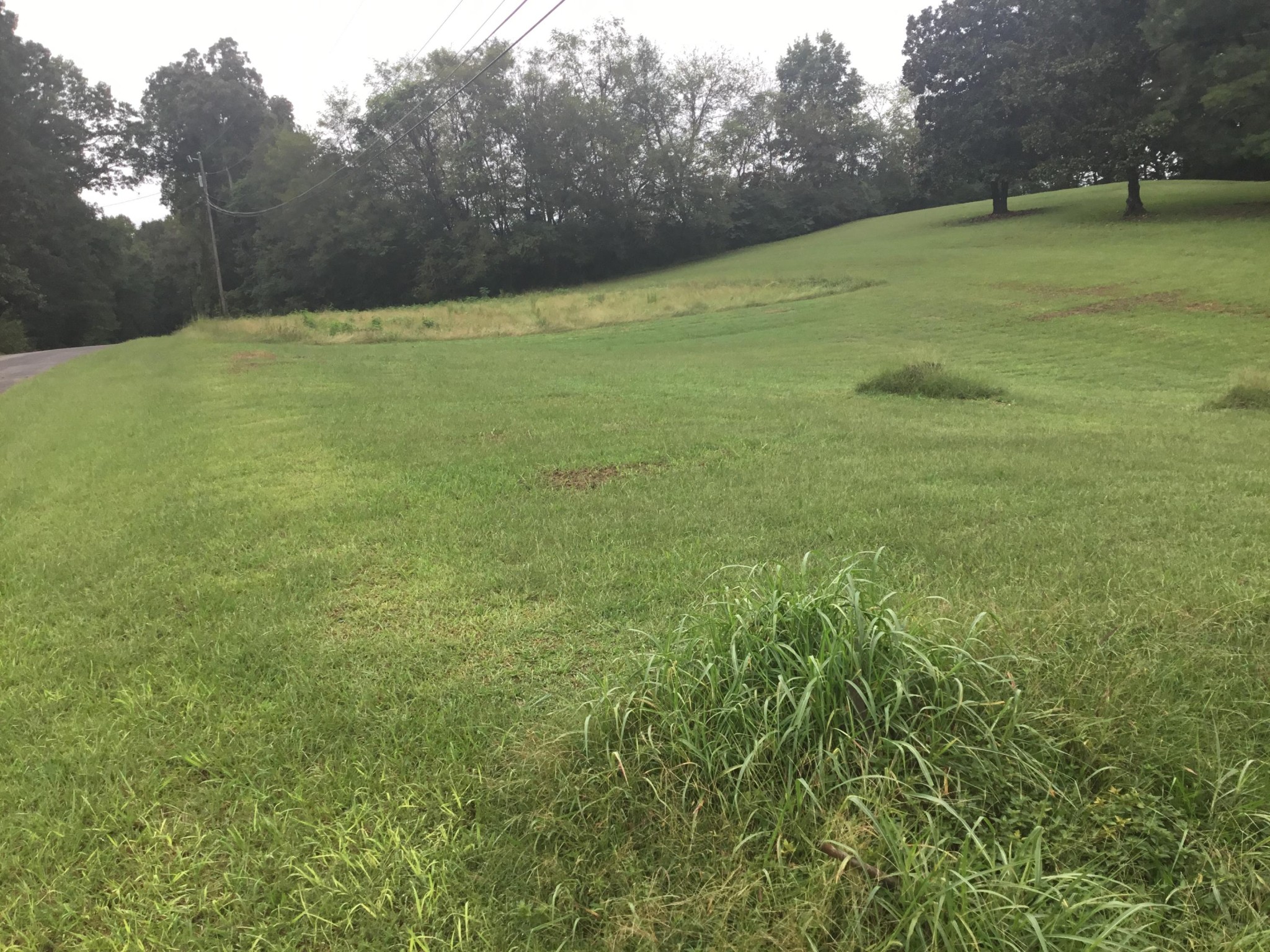 0 South Wilson Heights Road Cleveland, TN 37312 - Photo 1 of 1 Gallery Image 1