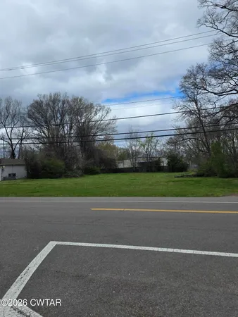 a view of a yard