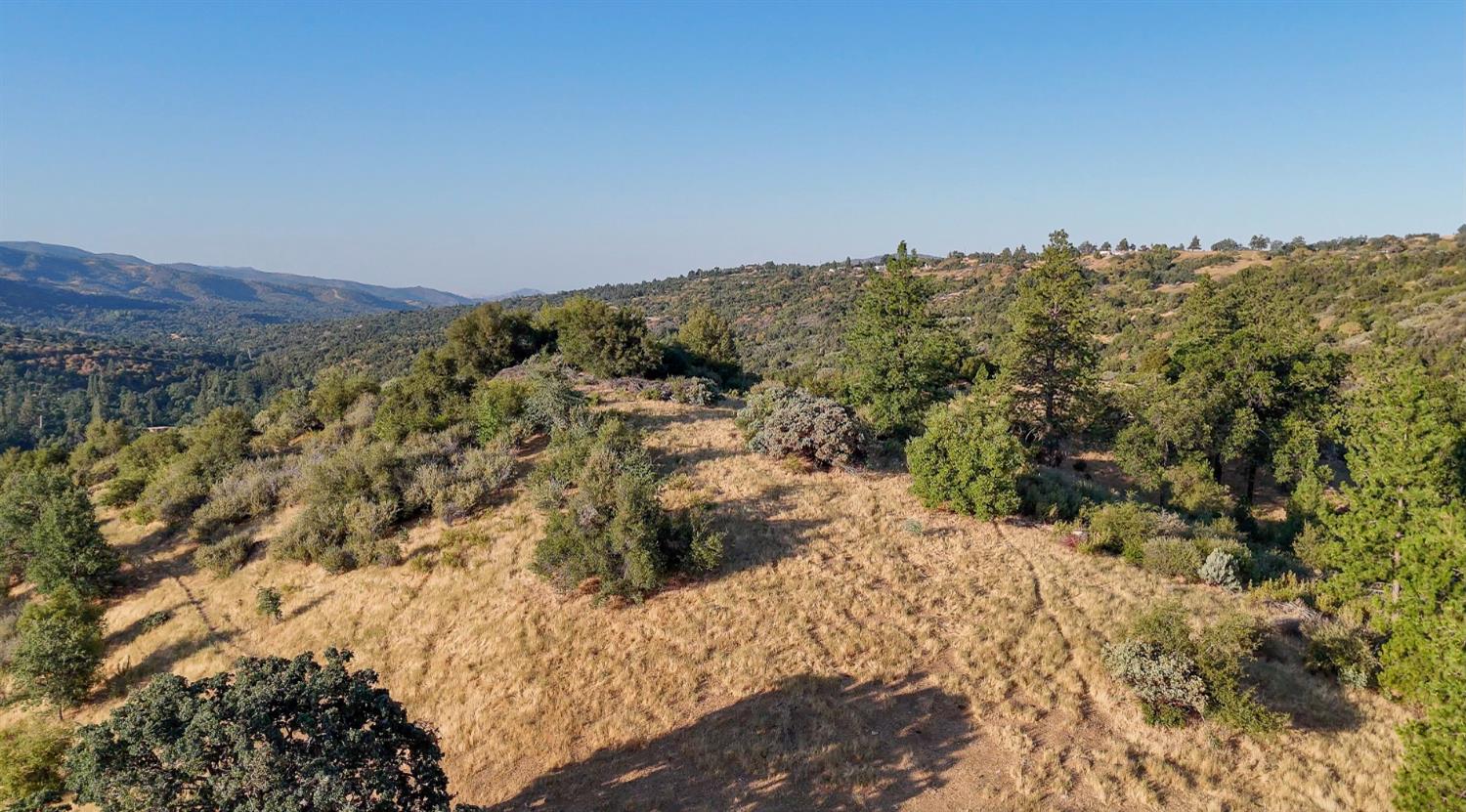 0 Whitaker Forest Road Miramonte, CA 93603 - Photo 23 of 78 a view of a forest with mountains in the background