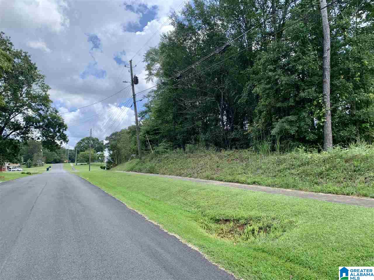 0 Spring Valley Road, Unit 1 PARCEL Anniston, AL 36207 - Photo 3 of 6