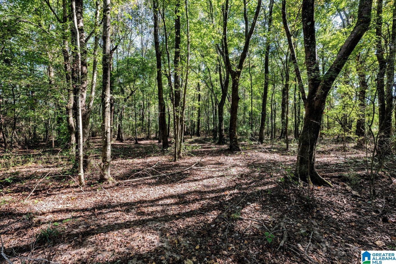 920 Coupland Road Odenville, AL 35120 - Photo 29 of 37