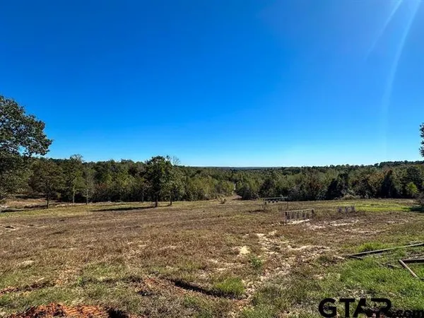 a view of a field with a tree in the background