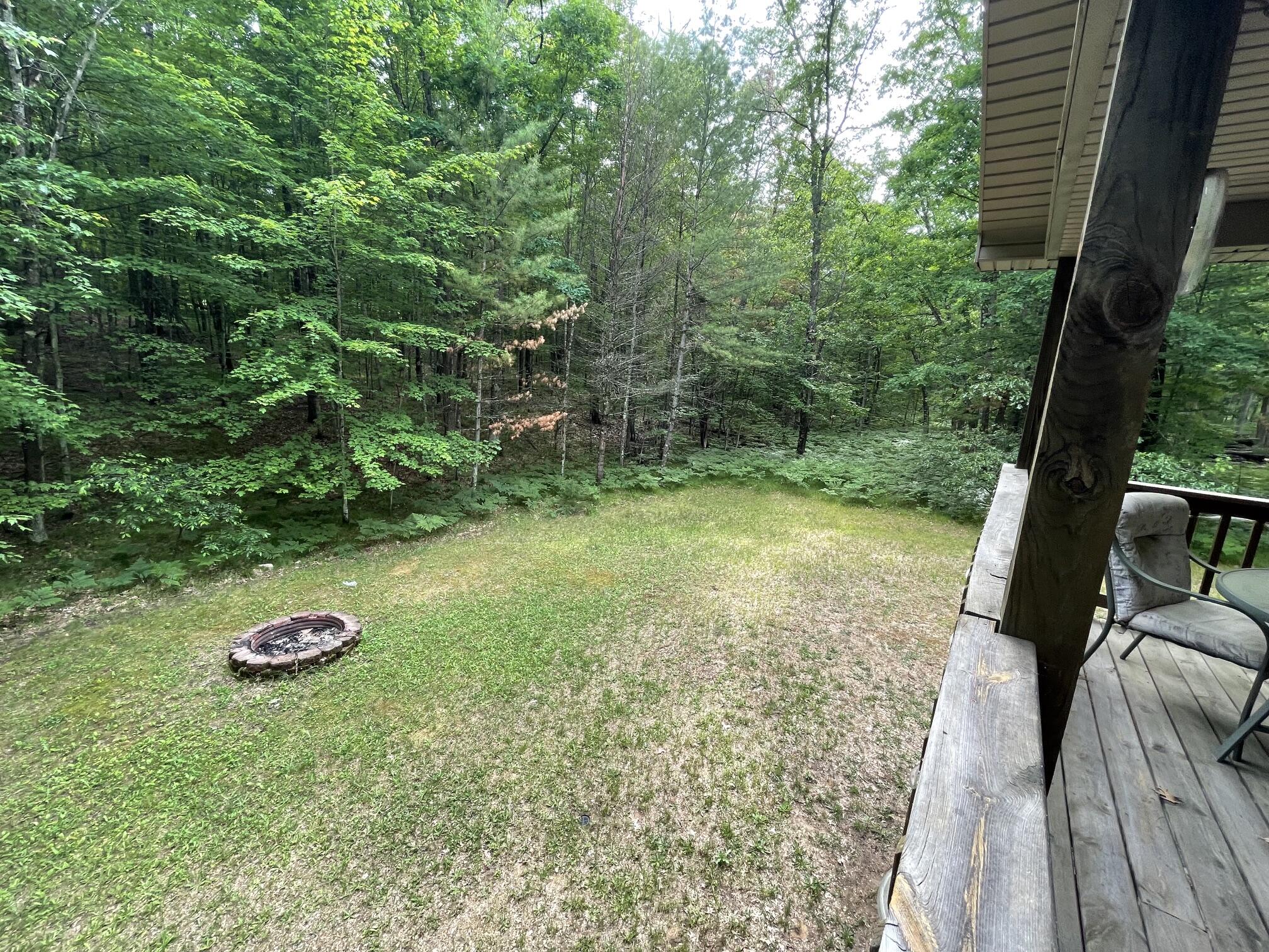 8725 West River Road Irons, MI 49644 - Photo 28 of 37 IMG_0885
