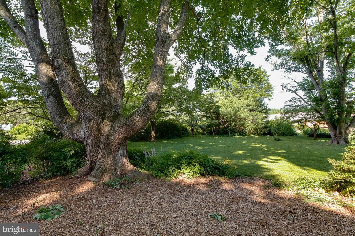 296 Dover Road Warrenton, VA 20186 - Photo 18 of 22 View