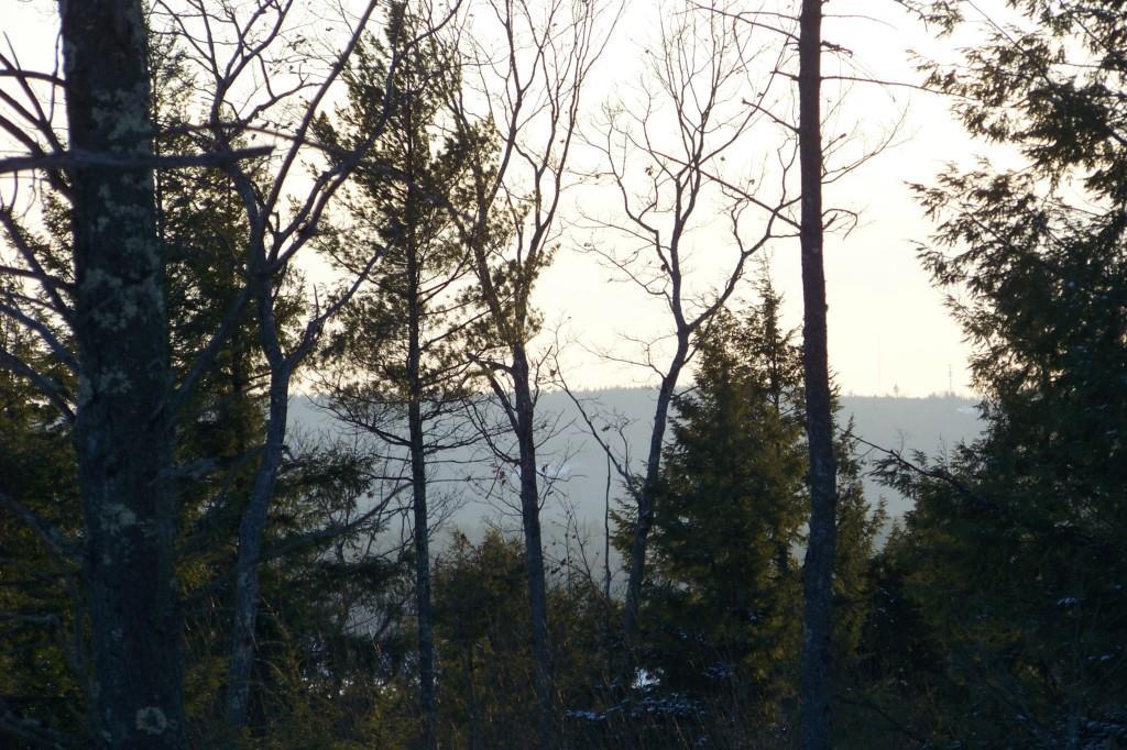 Lot #24 Foxes Ridge Road Acton, ME 04001 - Photo 10 of 17 Photo