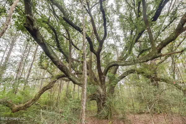 $127,500 | 0 Broome School Road, Perkinston, MS 39573