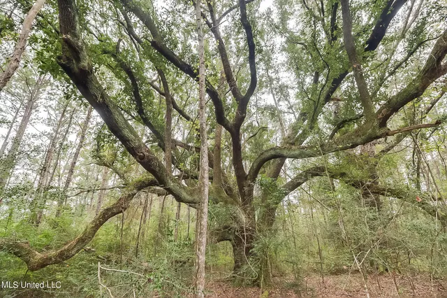 $127,500 | 0 Broome School Road, Perkinston, MS 39573