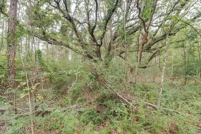 $127,500 | 0 Broome School Road, Perkinston, MS 39573