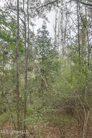 $127,500 | 0 Broome School Road, Perkinston, MS 39573