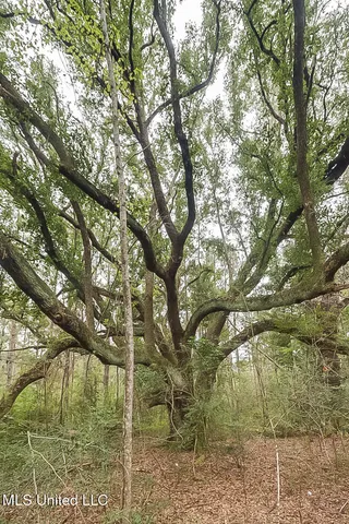 $127,500 | 0 Broome School Road, Perkinston, MS 39573