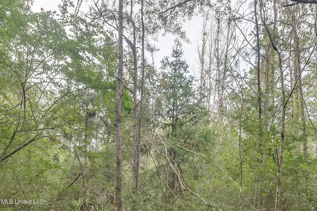 $127,500 | 0 Broome School Road, Perkinston, MS 39573