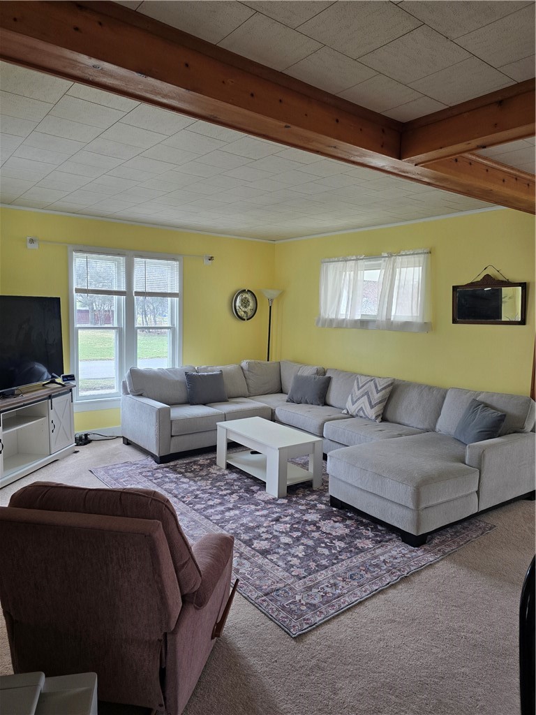 2 Morgan Street Avoca, NY 14809 - Photo 9 of 30