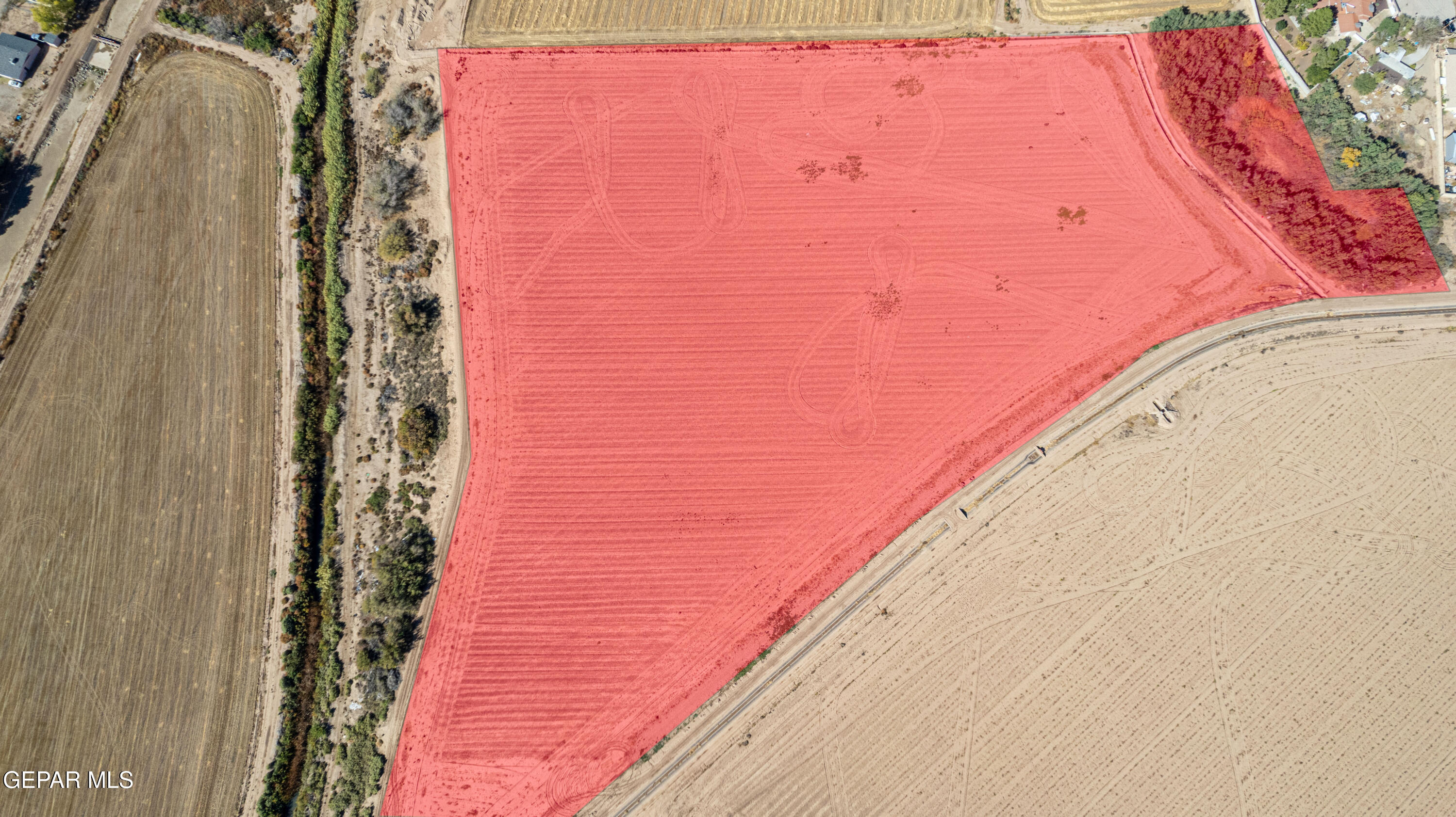 12602 Rio Placido Drive Clint, TX 79836 - Photo 6 of 13 a view of a floor to ceiling window and brick wall