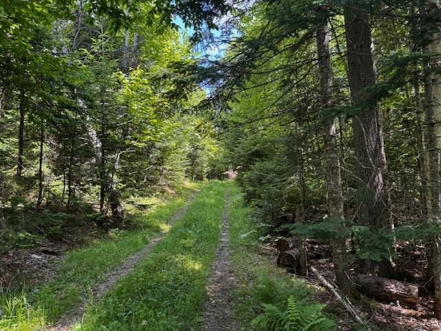 233 Church Road Oxbow, ME 04764 - Photo 14 of 14 IMG_3061 (1)