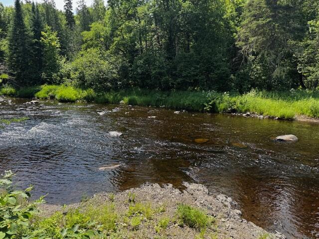 233 Church Road Oxbow, ME 04764 - Photo 5 of 14 IMG_3073